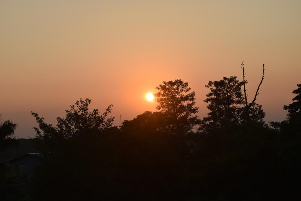 Chitwan Village Resort Sauraha Exterior foto