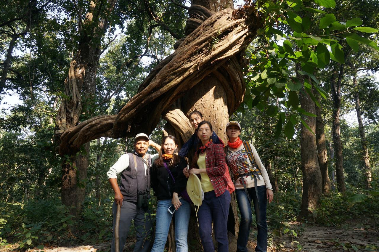 Chitwan Village Resort Sauraha Exterior foto