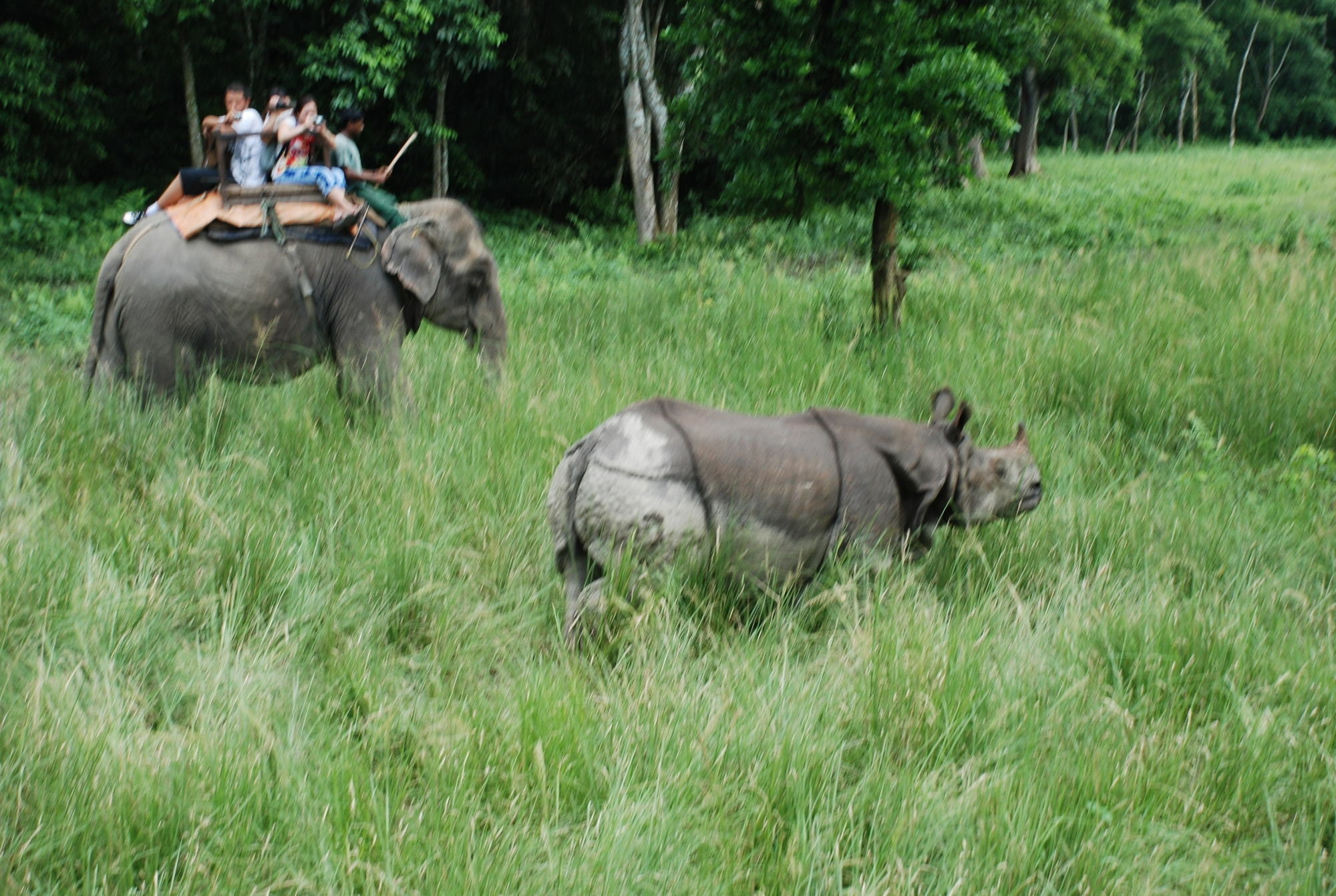 Chitwan Village Resort Sauraha Exterior foto